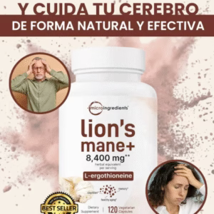 Lion’s Mane– Mental Power 🧠